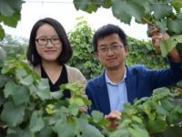 On the road: how China is stepping up the quality of its&nbsp;wines
